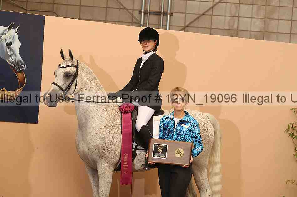 Proof 12yn_19096