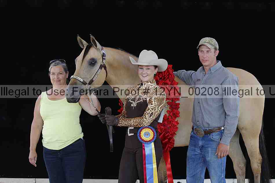 Proof 12yn_00208