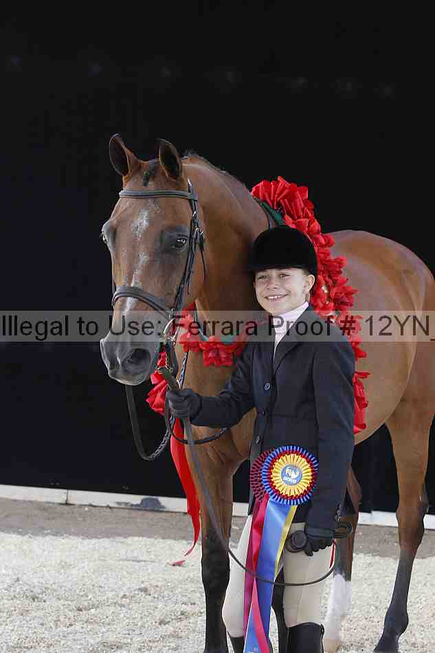 Proof 12yn_00489