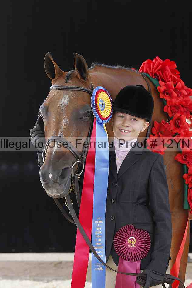 Proof 12yn_00507