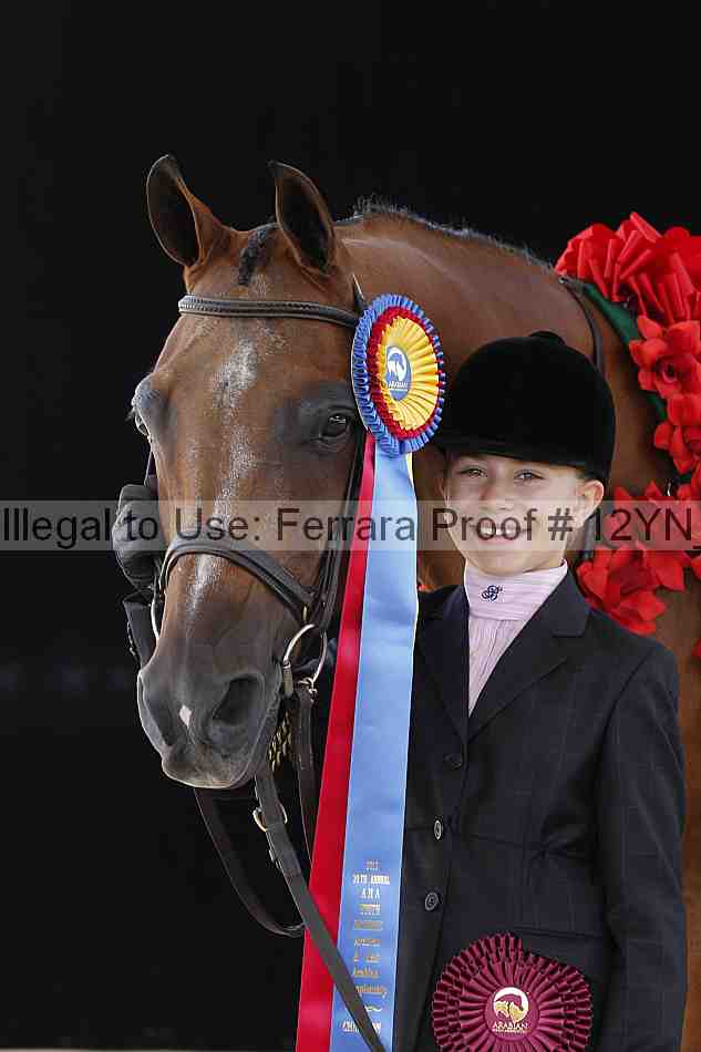 Proof 12yn_00508