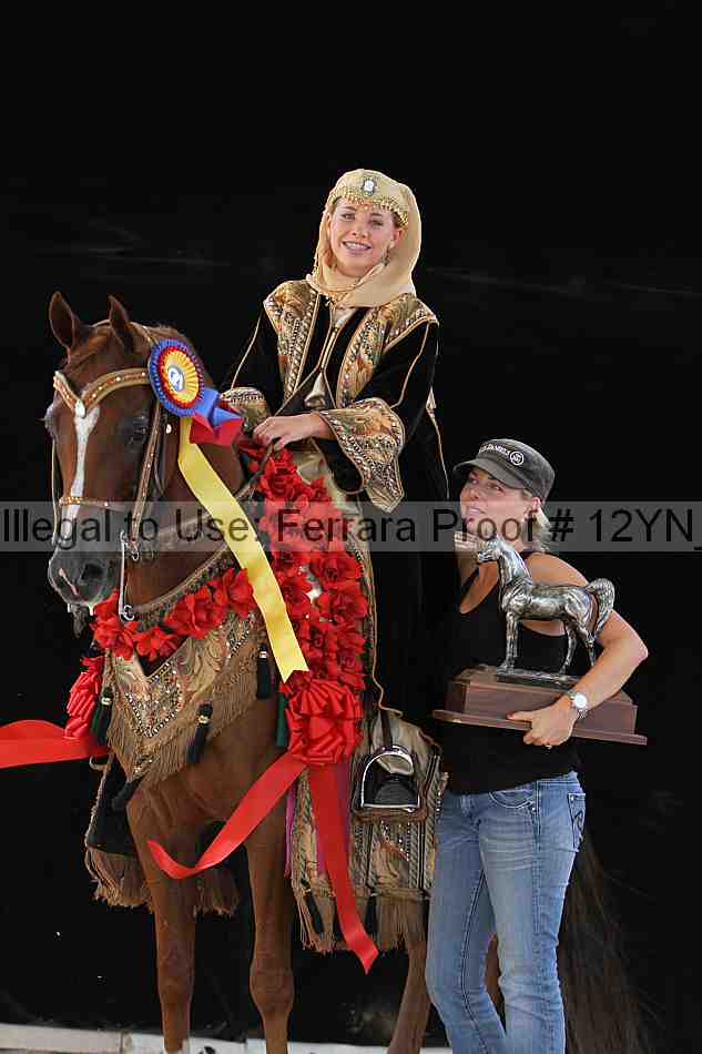 Proof 12yn_22282