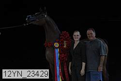 12yn_23429 proof