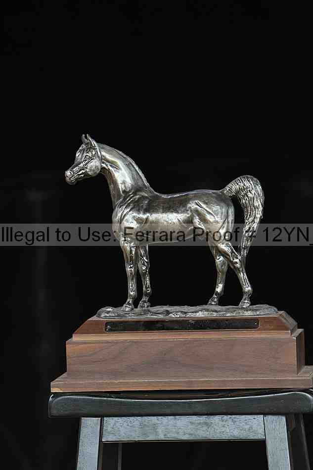 Proof 12yn_20890