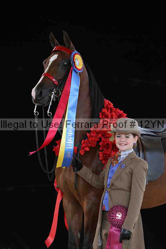 Proof 12yn_20907