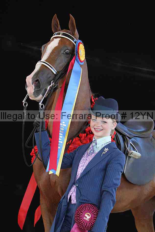 Proof 12yn_21011