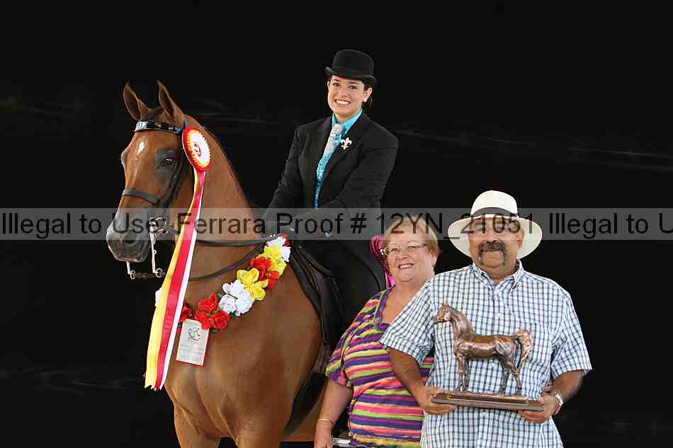 Proof 12yn_21051