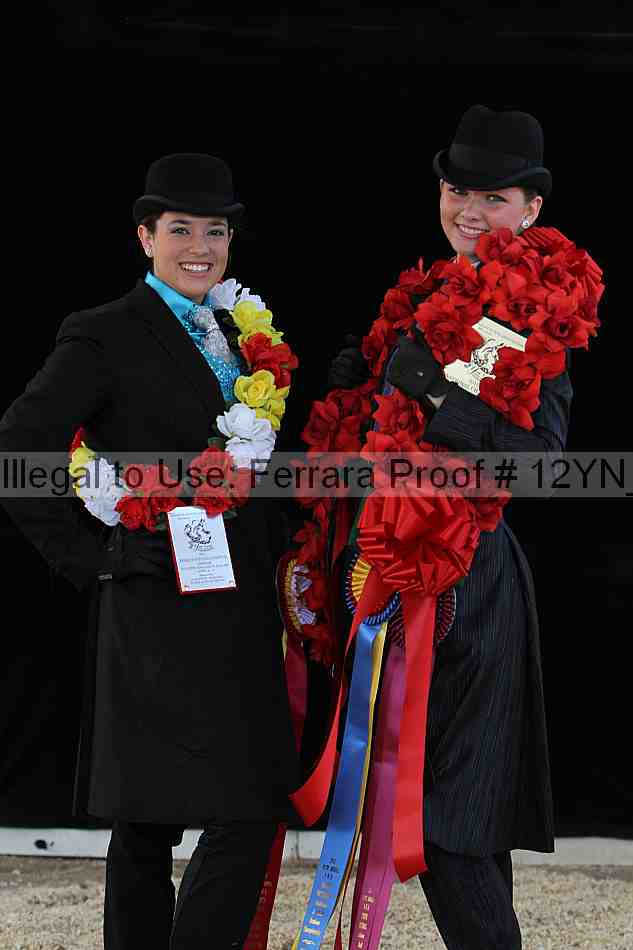Proof 12yn_21081