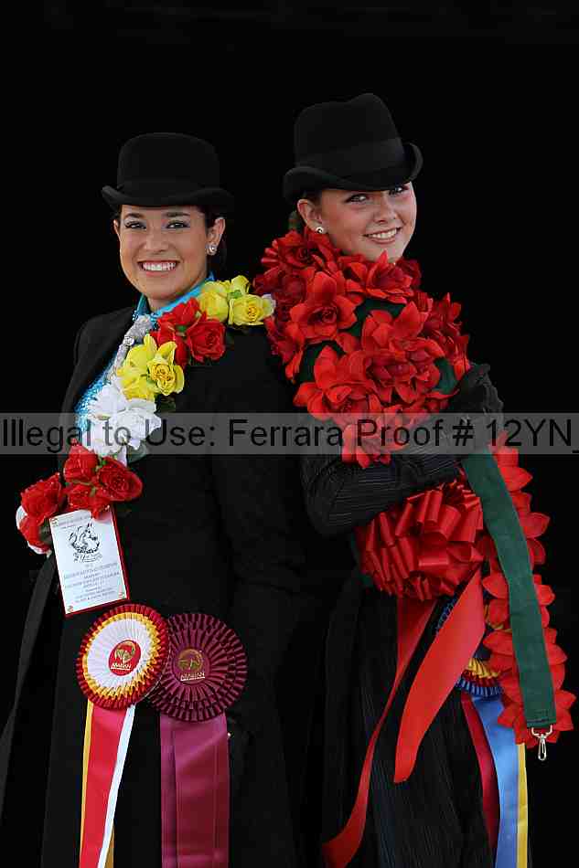 Proof 12yn_21085