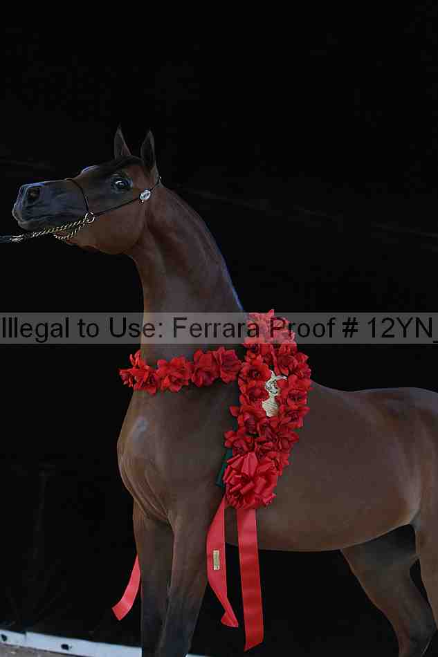 Proof 12yn_21096