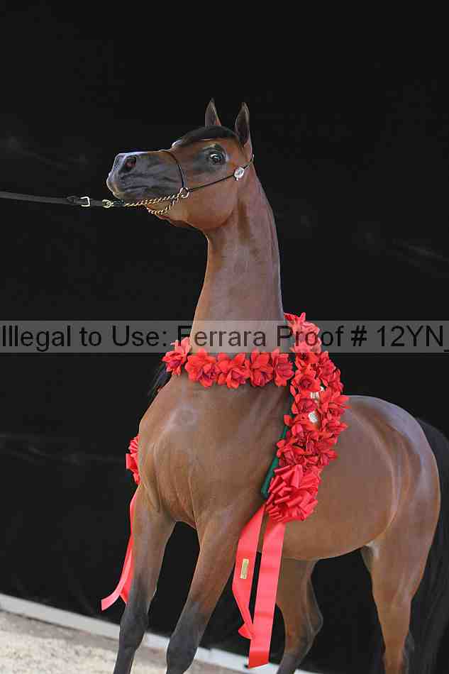 Proof 12yn_21109