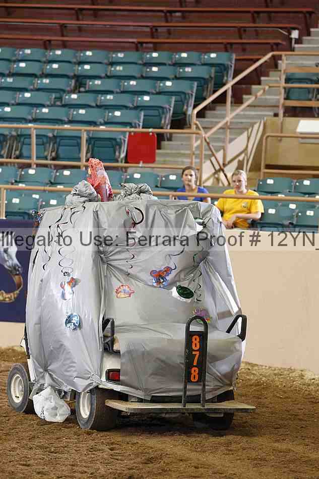 Proof 12yn_04026