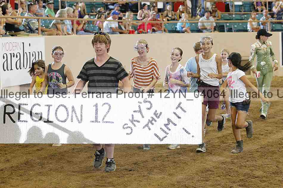 Proof 12yn_04064