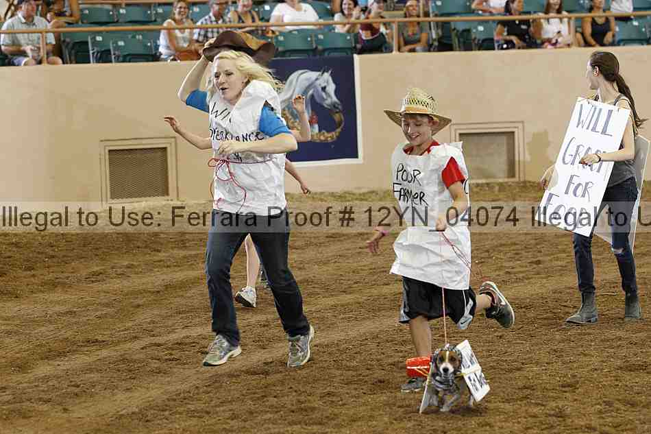 Proof 12yn_04074