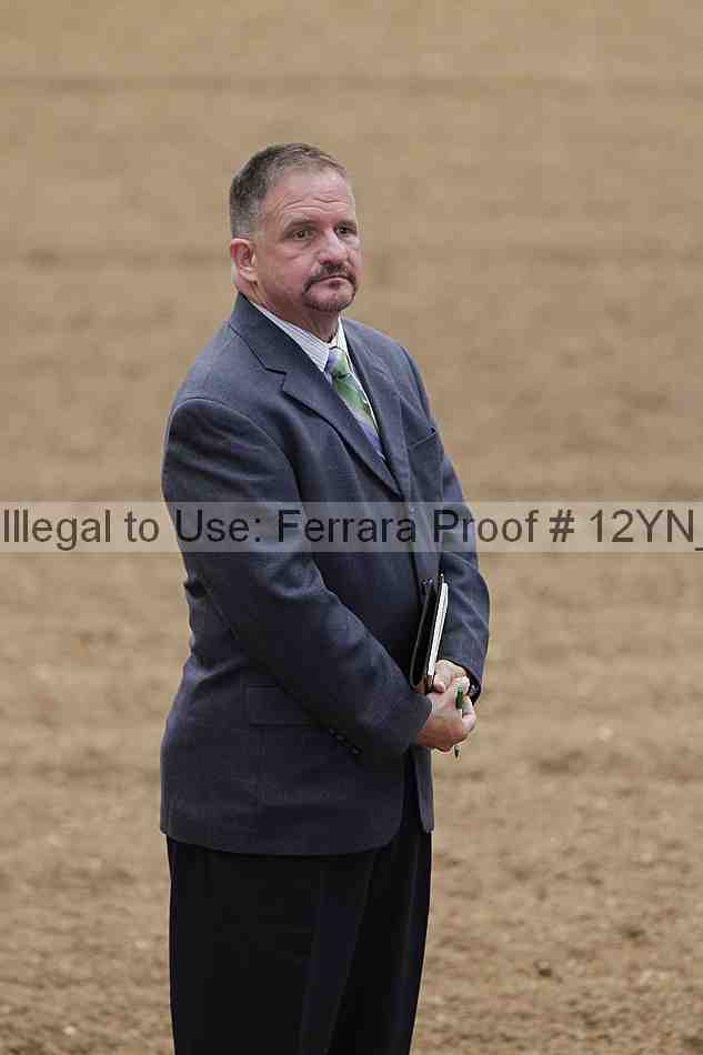 Proof 12yn_04133