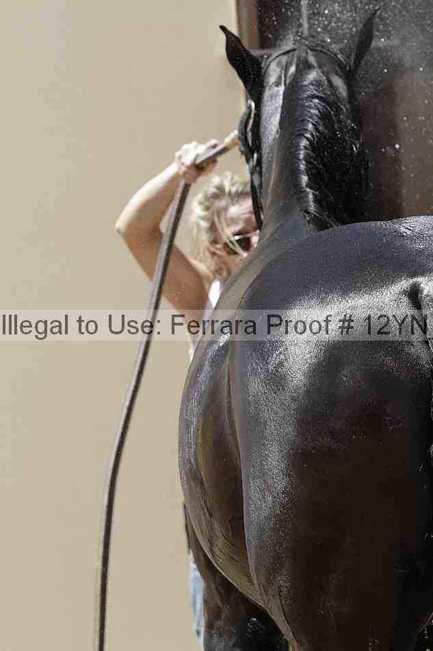 Proof 12yn_10091