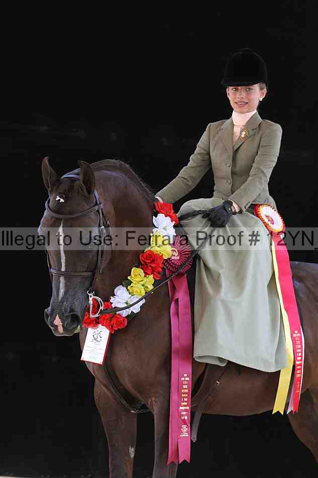 Proof 12yn_06243