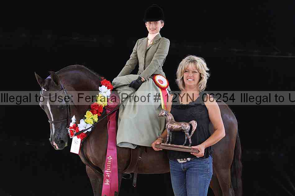 Proof 12yn_06254
