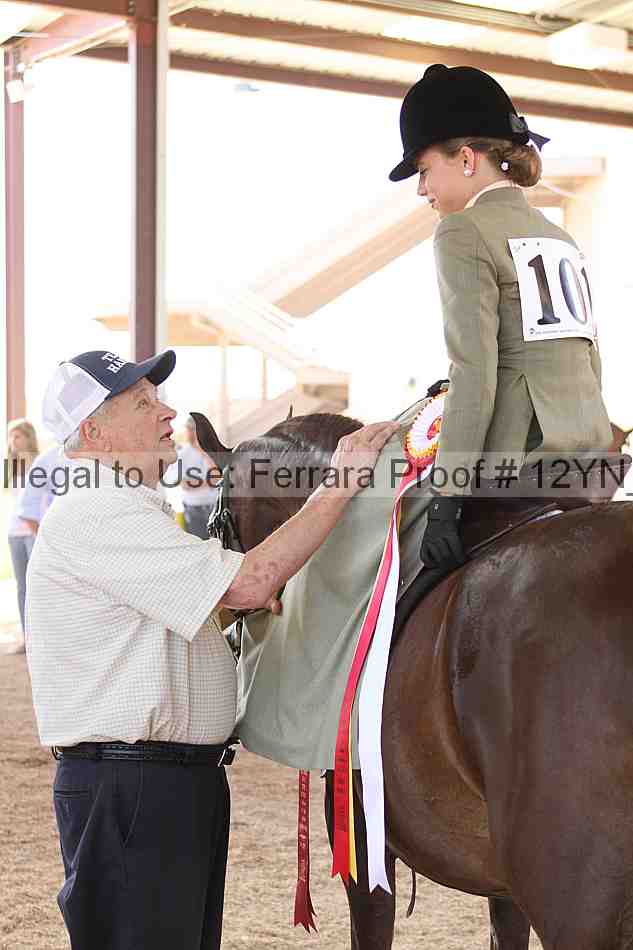 Proof 12yn_06256
