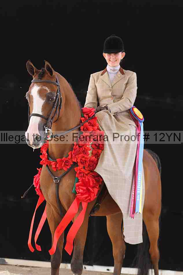 Proof 12yn_06258