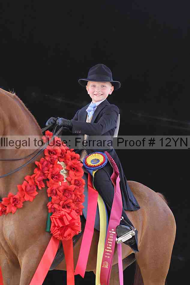 Proof 12yn_07498