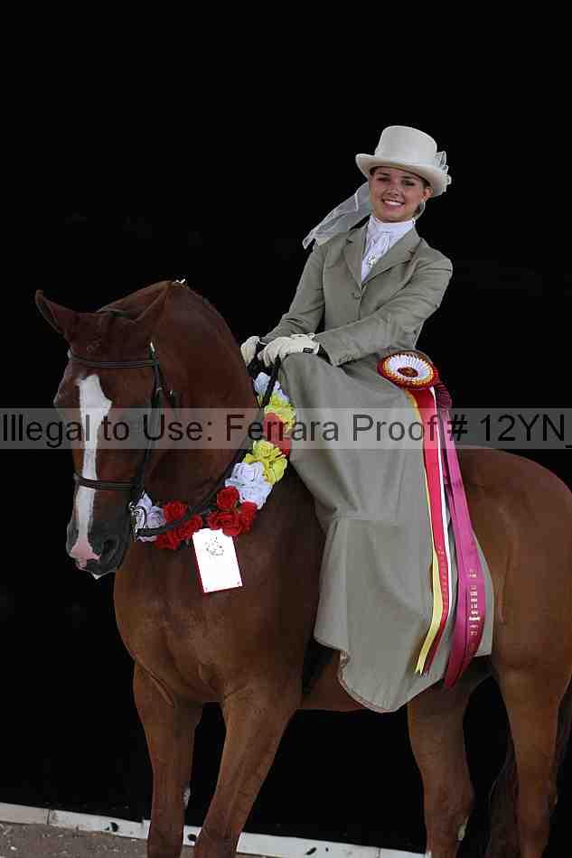 Proof 12yn_07528