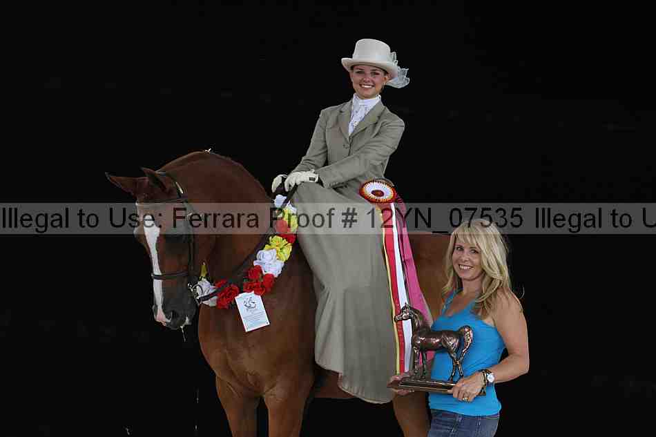 Proof 12yn_07535
