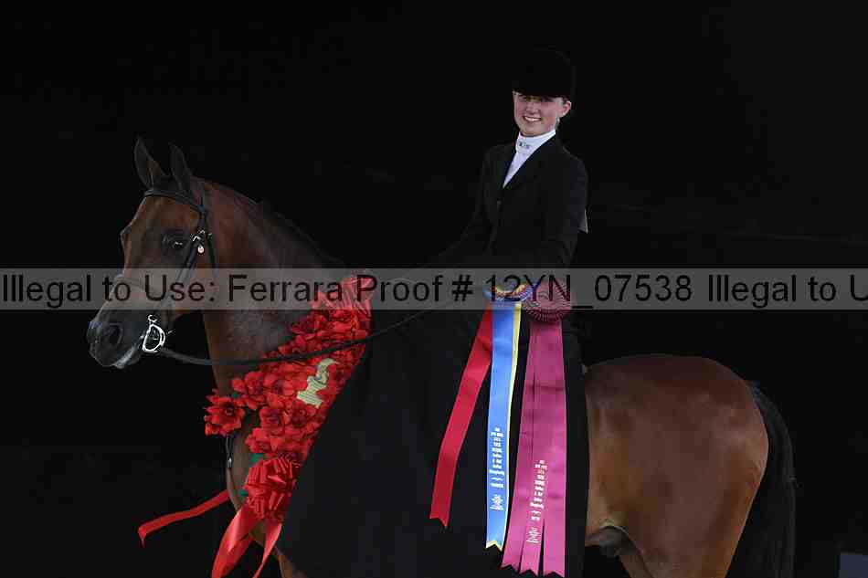 Proof 12yn_07538