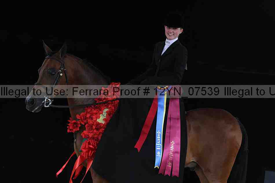 Proof 12yn_07539