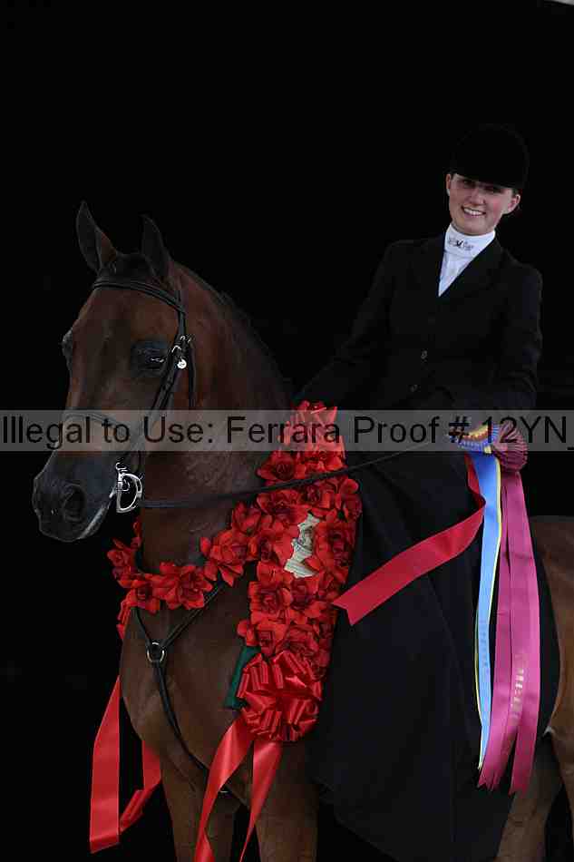 Proof 12yn_07541