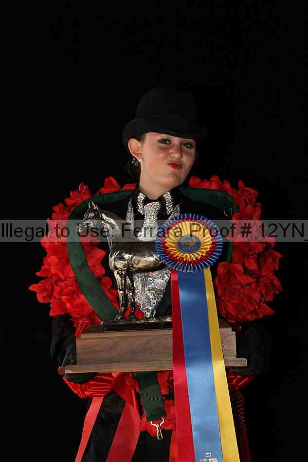 Proof 12yn_08399