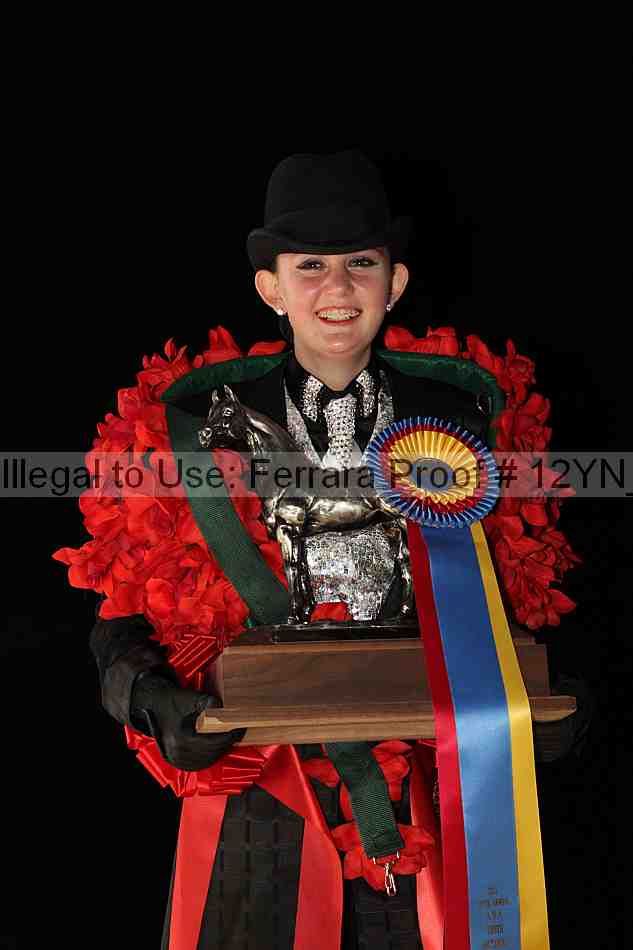 Proof 12yn_08401