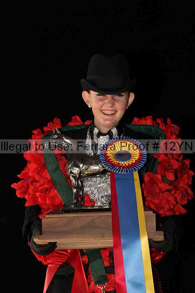 Proof 12yn_08403