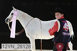 12yn_28128 proof