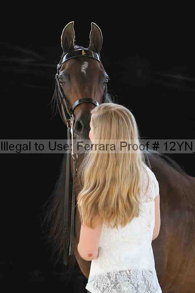 Proof 12yn_28272