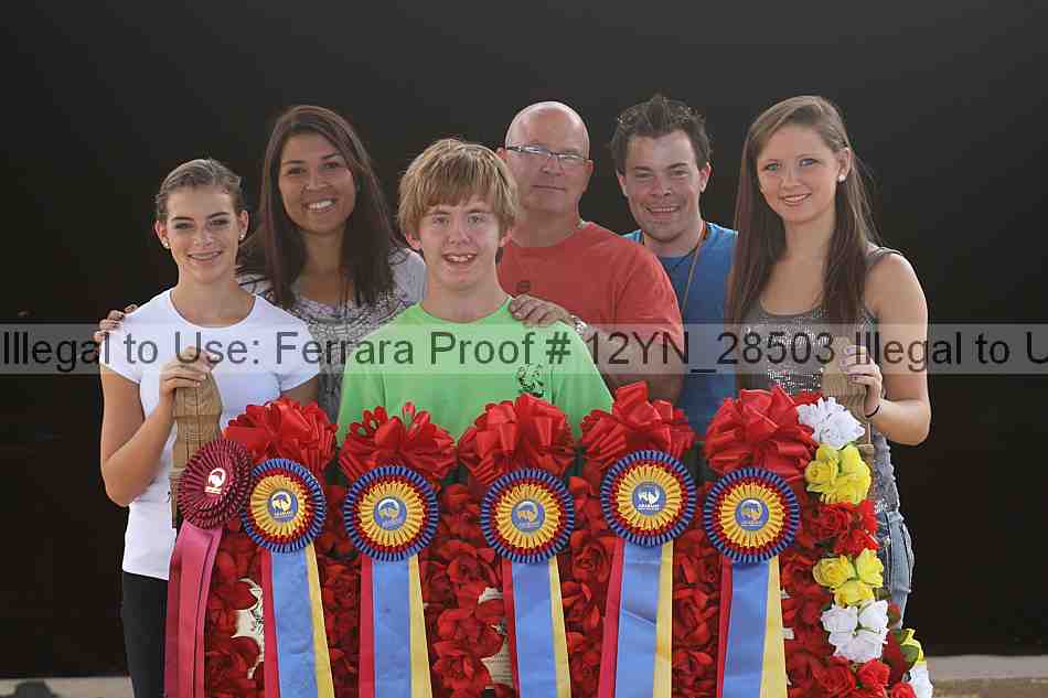 Proof 12yn_28503