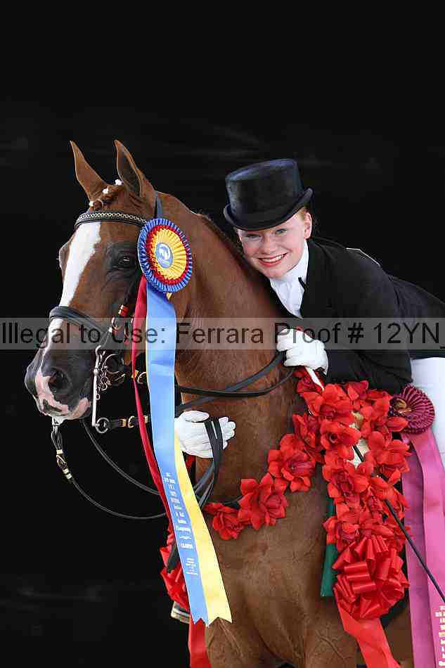 Proof 12yn_26557
