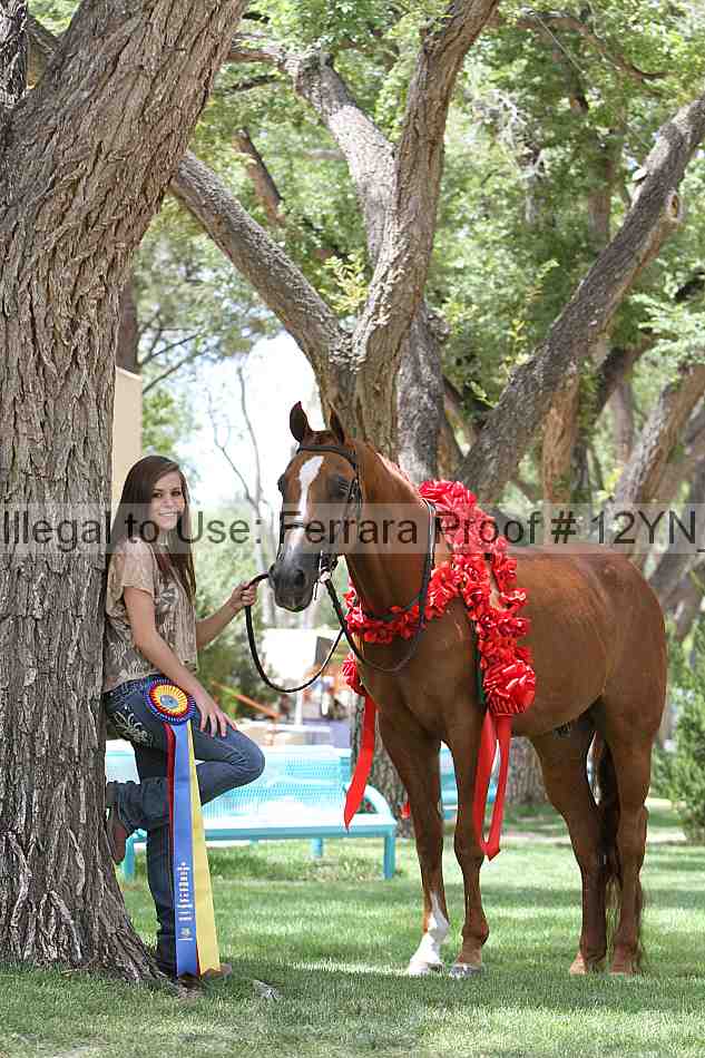 Proof 12yn_26579