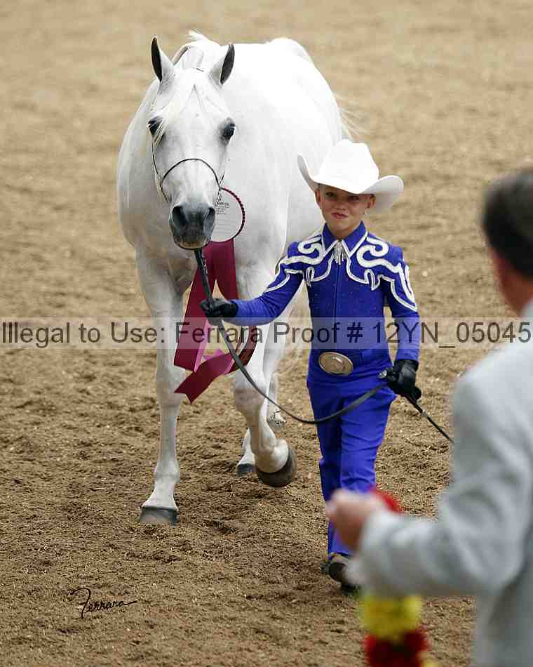 Proof 12yn_05045