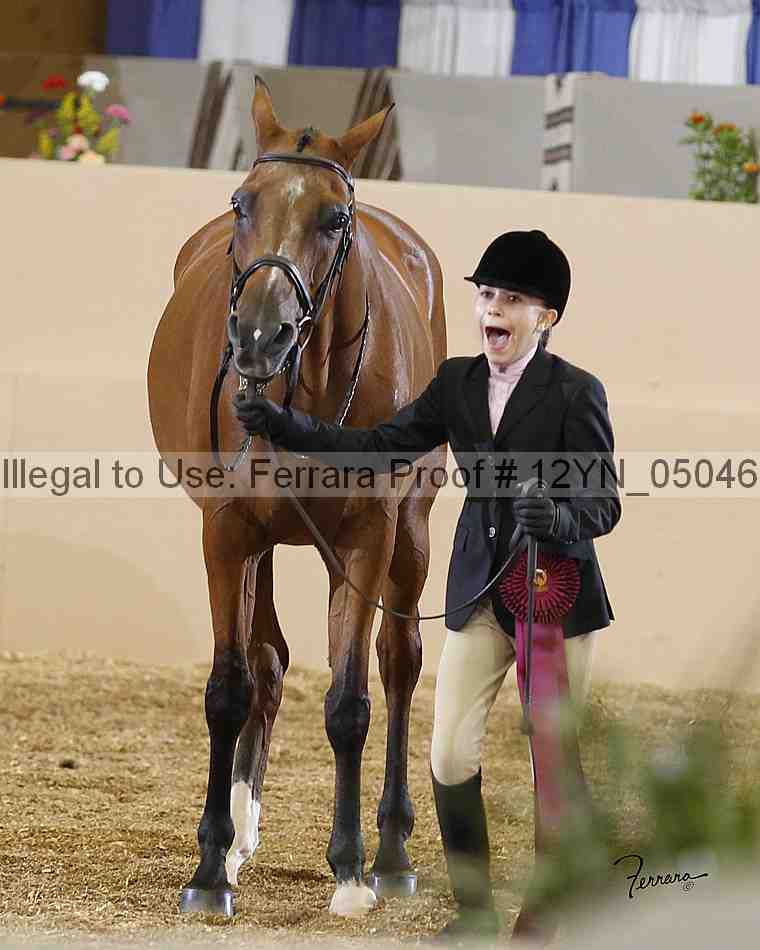 Proof 12yn_05046