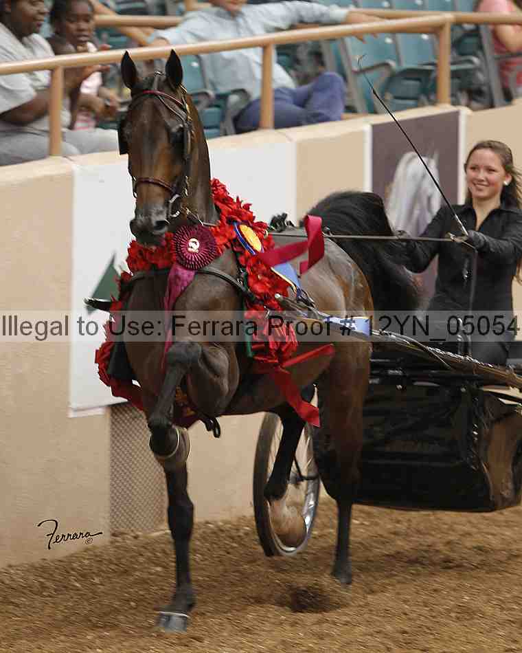 Proof 12yn_05054