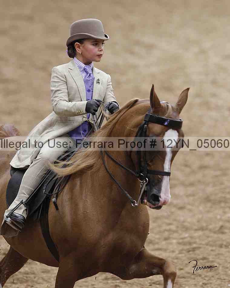 Proof 12yn_05060