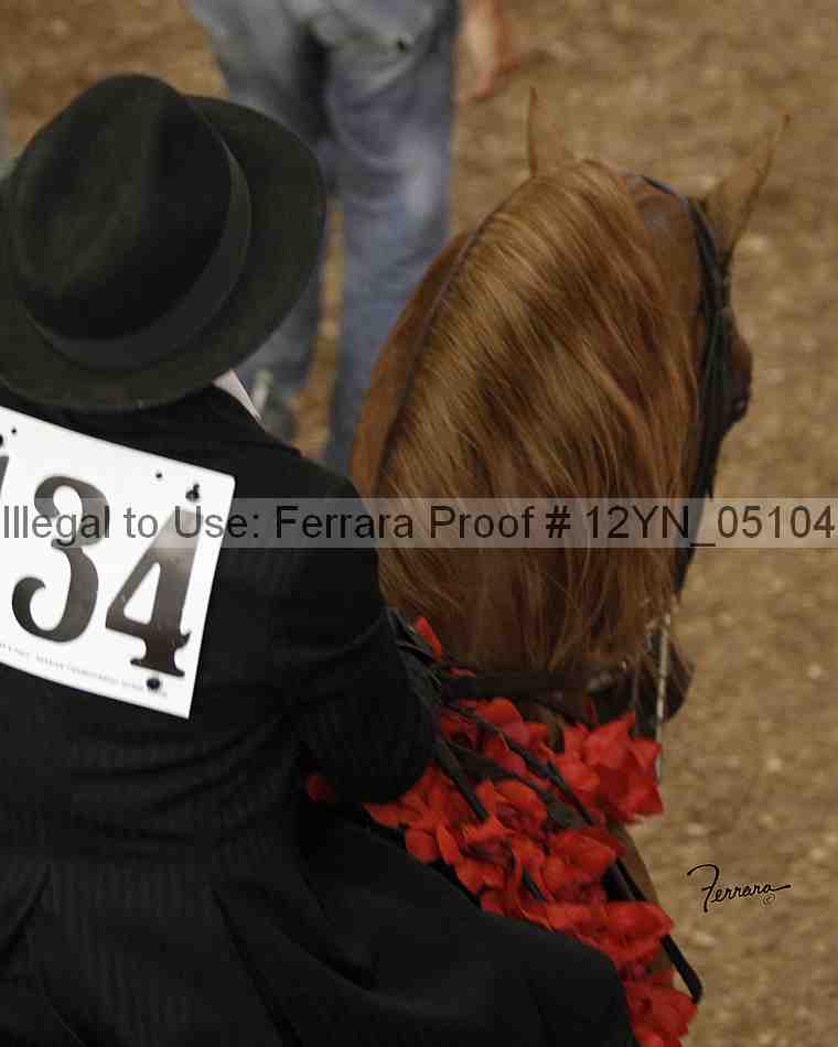 Proof 12yn_05104