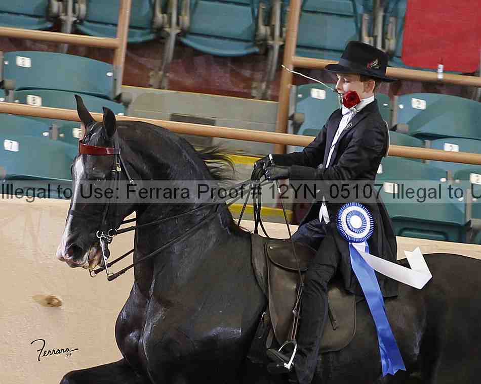 Proof 12yn_05107