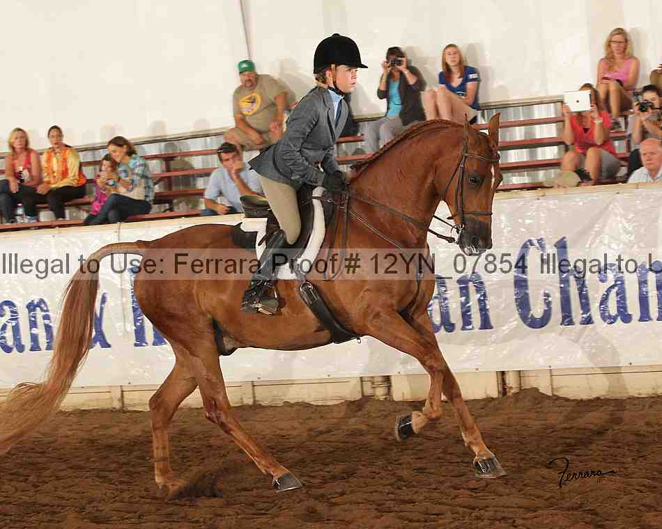 Proof 12yn_07854