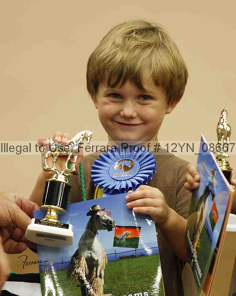Proof 12yn_08667