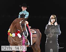 12yn_14702 proof