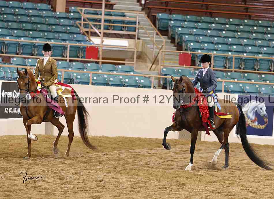 Proof 12yn_14706