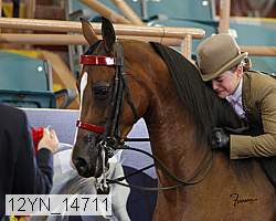 12yn_14711 proof