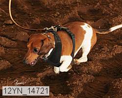12yn_14721 proof
